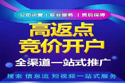 专业SEM代运营公司案例分析